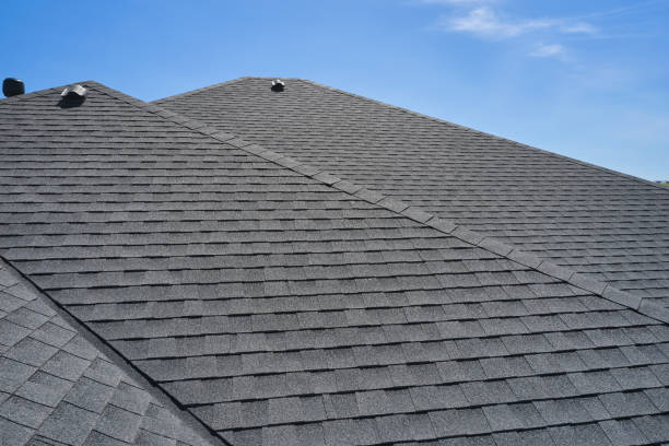 Roof Coating Services in Bridgetown, MS